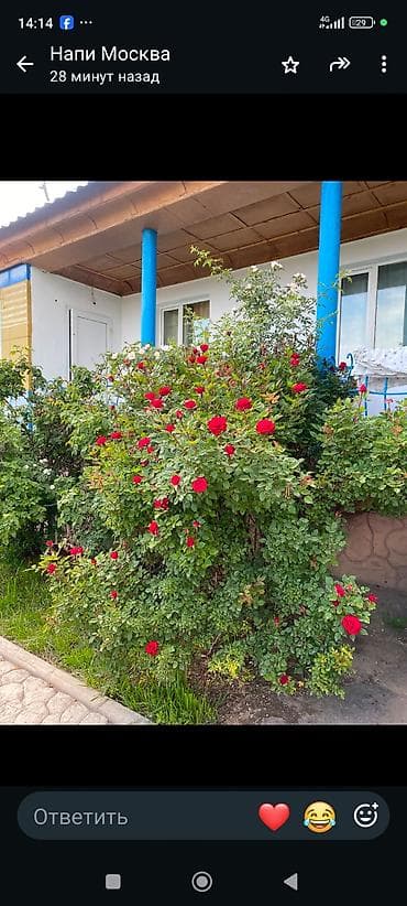 Гостиница на Иссык-Куле, АМИНА Голубой Иссык-Куль, Чолпон-Ата, 5 мест, На летний сезон — 9