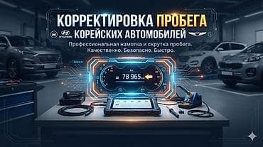 rf 2: Корректировка пробега корейских автомобилей Профессиональная — 1