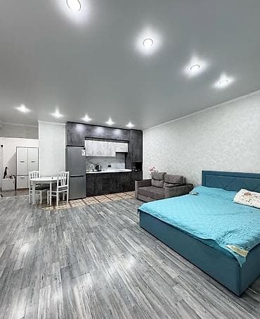 Студия, Без подселения, С мебелью полностью