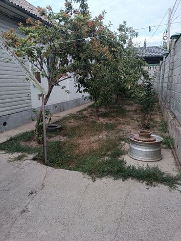 Үйдү ижарага алам: Үй, 56 кв. м, 4 бөлмө, Менчик ээси, Эски ремонт — 2