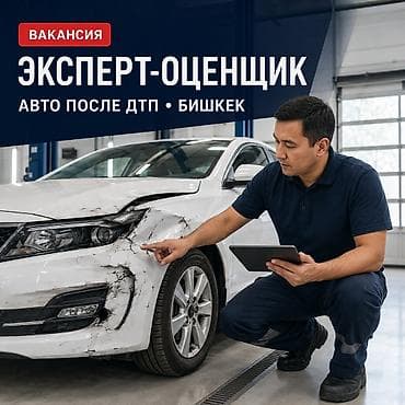 Требуется работник, Процент от дохода, Оплата: Еженедельно, Дважды в месяц, Каждые 10 дней, Без опыта, Обучение
