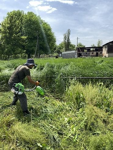 хлоп дары: Уборка территории, Стрижка газона — 1