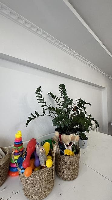 Квартиры: 3 комнаты, 70 м², Индивидуалка, 9 этаж, Евроремонт — 3