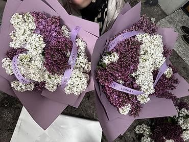 букет сирень: Букет из сирени - Объемный букет из душистой садовой сирени двух — 3