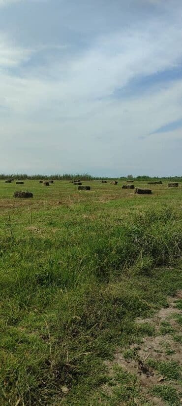 дом на иссык куле купить: Для сельского хозяйства — 1