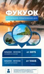 туры по направлениям: Авиабилеты по всем направлениям. Доступные цены.Онлайн 24/7.Для вашего — 6