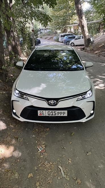 terrano 2: Toyota Corolla: 2019 г., Гибрид, Седан — 1