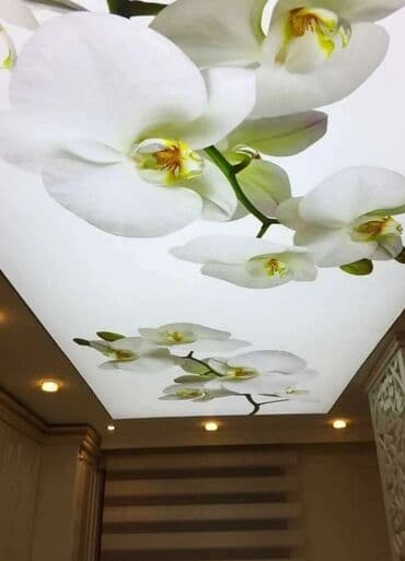 квартиры в бишкеке на долгий срок: Натяжной потолок Глянцевое, Матовое, 3D потолки Монтаж, Гарантия, Демонтаж — 1