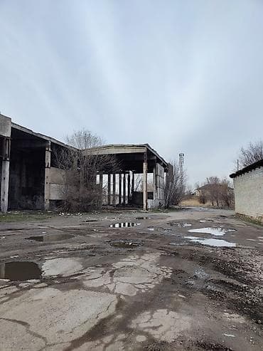 Жер тилкелери: 100 соток, Курулуш, Техпаспорт, Сатып алуу-сатуу келишими, Кызыл китеп — 9