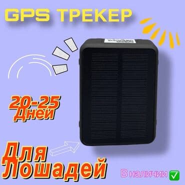 купить блютуз модуль в машину: Бренд: ertengtec Размер экрана: До 2 дюймов Напряжение: 5 В Входная — 1