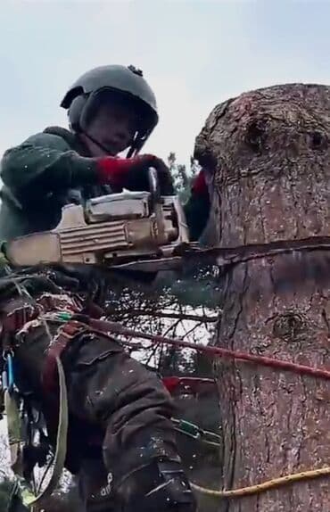 работу охрана: Пилю деревья. Бак кыябыз Спилить орех Срубить карагач Спилить тополь — 1