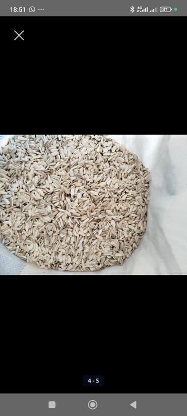 кленовый сироп бишкек: Есть 200 кг +-
Доставка есть Бишкек Кара Балта Сокулук Беловодск — 6