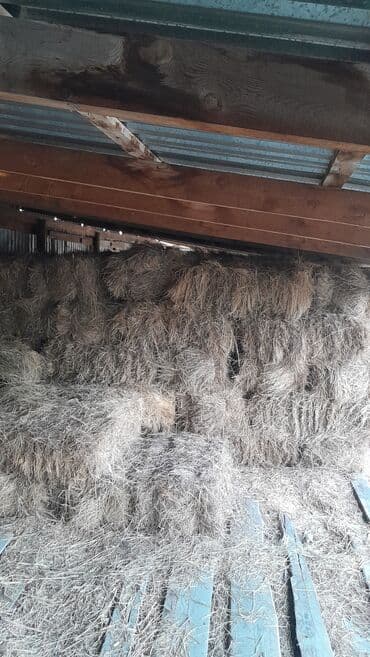 для кур несушек: Тоо чоп сатылат, 150 тук бар баасы 350сом. Район ж/м Ак-бата. номер — 1