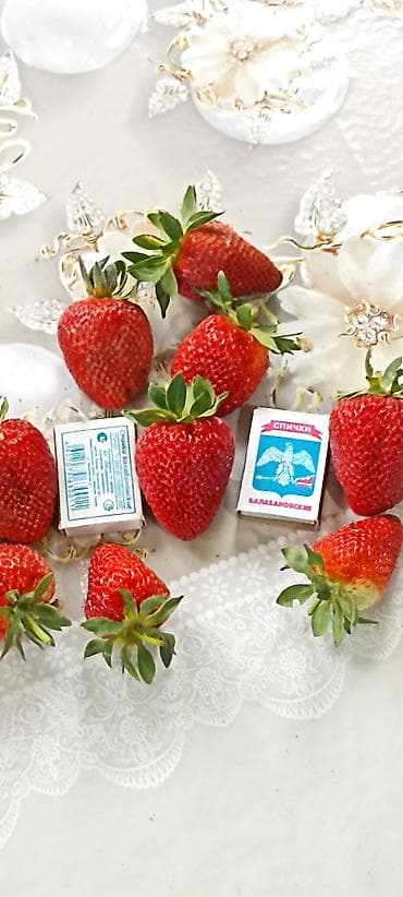 сирень саженцы: Рассада садовой земляники (клубники) с открытой корневой системой. - — 2