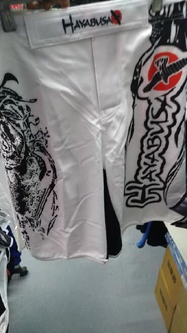 клинок рассекающий демонов тренировка столпов бишкек: Бойцовские шорты HAYABUSA в спортивном магазине SPORTWORLDKG — 1