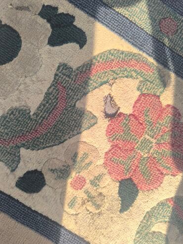 ковры палас бу: Килем Колдонулган, 500 * 200 — 3