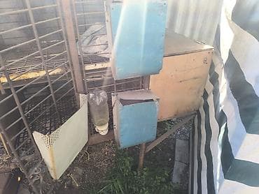 беде тук чоп: Кролятник железныйс кормушками есть одно родильное отделение.Четыре — 4