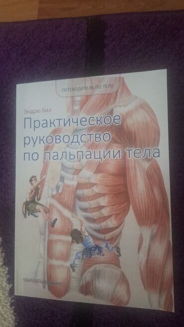 работа для начинающих программистов в бишкеке: Продаю НОВУЮ хорошую книгу "BABOK 3" третий выпуск для хорошо — 3