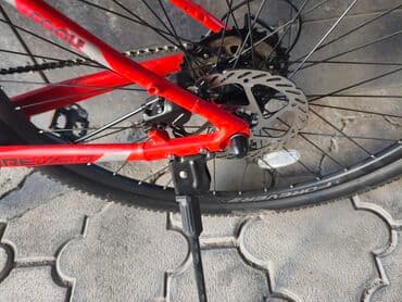 горный велосипед с широкими колесами: Горный велосипед, Рама L (172 - 185 см), Алюминий, Новый — 3