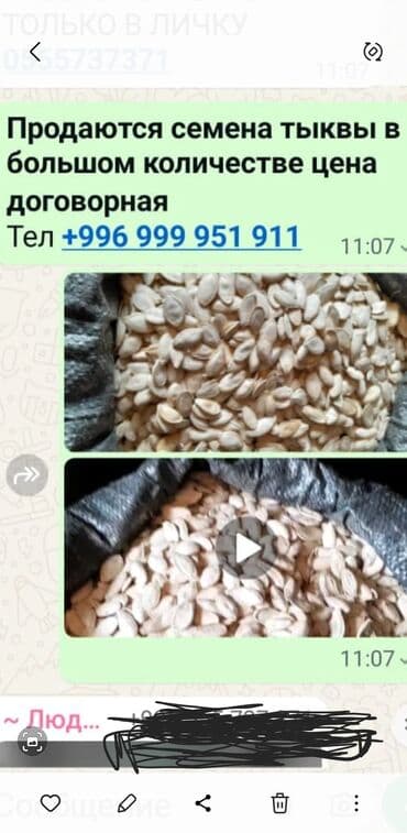 купить семена картофеля в кыргызстане: Тыквенные семечки, очищенные от мякоти, расфасованы в большие мешки — 3