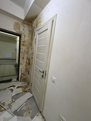 Межкомнатные двери в современном стиле - Цвет: светлый дуб/ясень — 1