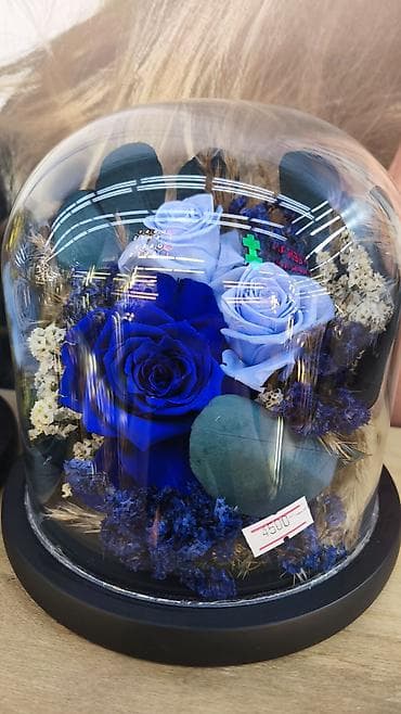 сплав розе: Подарок - живые розы которые не завянут даже через год!!! Роза в — 3