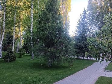 Дома: Продается небольшой коттедж в ЦО «Радуга» Свежий ремонт, новая мебель — 9
