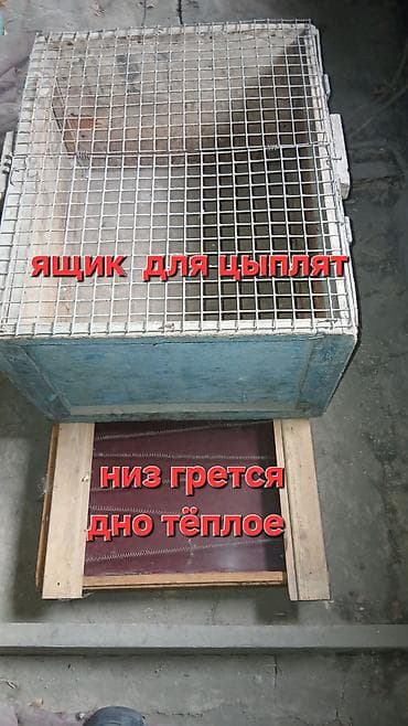 Ящики, клетка и грелки для цыплят. - Ящики для цыплят — с верхней — 2