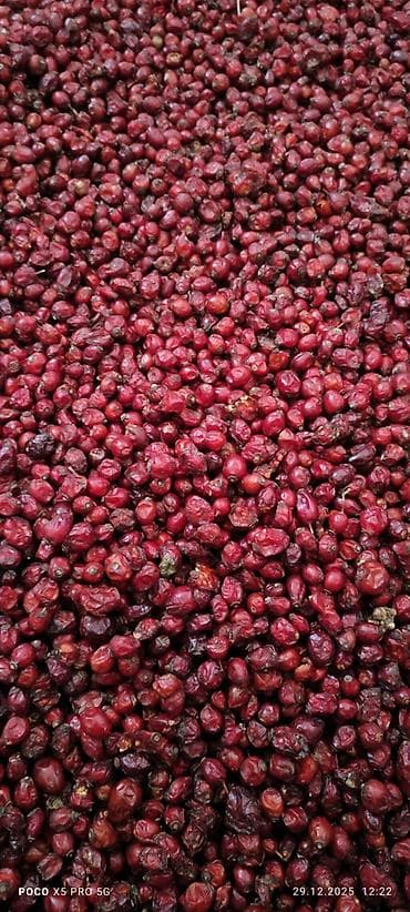 бутун турция: Продаю шиповник очищенный больше тонны — 3