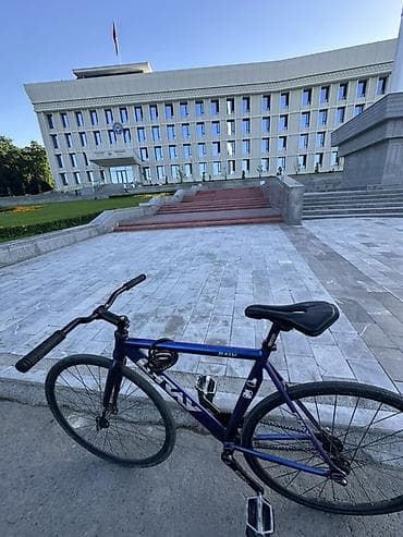 single speed: Рама Gray Rain Сидушка Stronger Руль райзер и грипсы хорошие Переднее — 2
