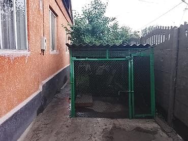 продаю дом в ак ордо 1: Дом с приусадебным участком и хозяйственными постройками. - Кирпичный — 2