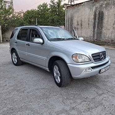 elite laguna: Mercedes-Benz M-Class: 2003 г., 3.7 л, Кроссовер — 4