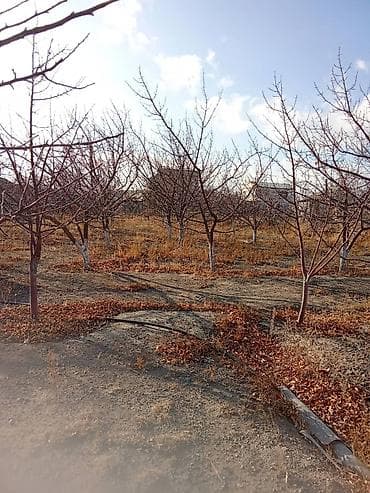 Продается дачный дом