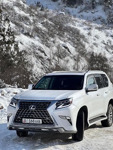 gx 2008: Lexus GX: 2010 г., 4.6 л, Автомат, Бензин, Внедорожник — 9