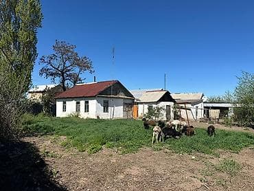 загородный дом для летнего отдыха: Продается дом с просторным участком и хозяйственными постройками. дом — 3