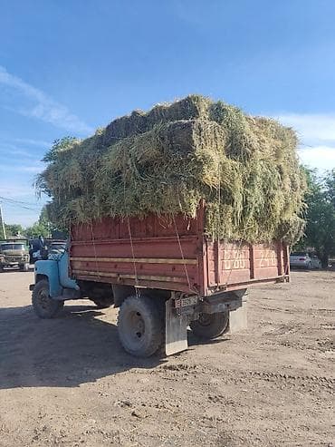 баа: Срочно срочно срочно строго звоните прошу 230 ещё договоримся уступлю — 4