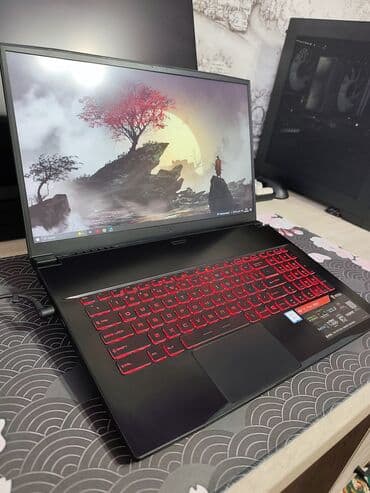 Сканеры: Ноутбук, MSI, 16 ГБ ОЗУ, Intel Core i7, 17.3 ", Б/у, Для несложных задач, память SSD — 2