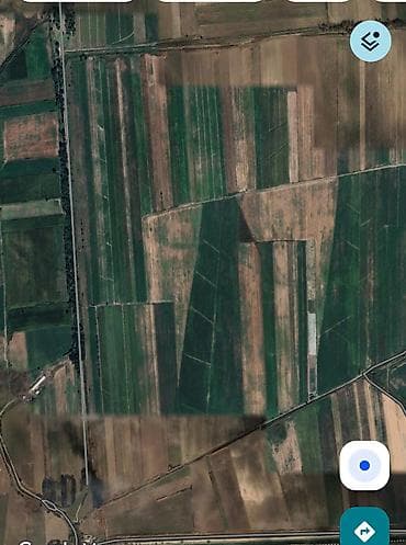 Аренда участков: 120 соток, Для сельского хозяйства, Договор купли-продажи — 4