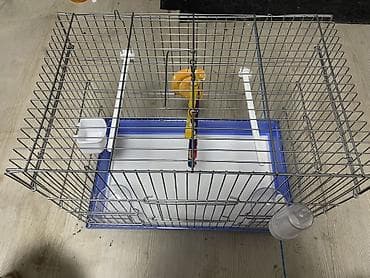 товары для кошек: Клетка для птиц с комплектом аксессуаров - Просторная металлическая — 2