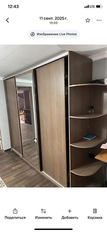 три д панели: Шкаф купе, С зеркалом, ЛДСП — 1