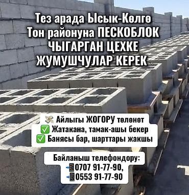 кирпич стонок: Тез арада Ысык-Көлгө Тон районуна ПЕСКОБЛОК ЧЫГАРГАН ЦЕХКЕ ЖУМУШЧУЛАР — 1