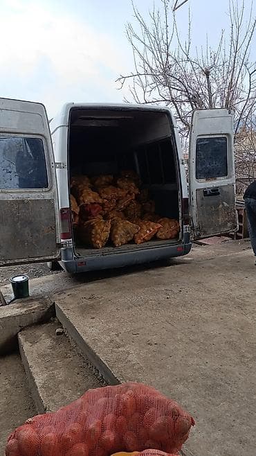 sprinter 2 2: Грузовые перевозки на фургоне Mercedes Sprinter - Длинномер до ≈4–5 — 9