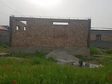 Кыймылсыз мүлк: 5 соток, Кызыл китеп — 9