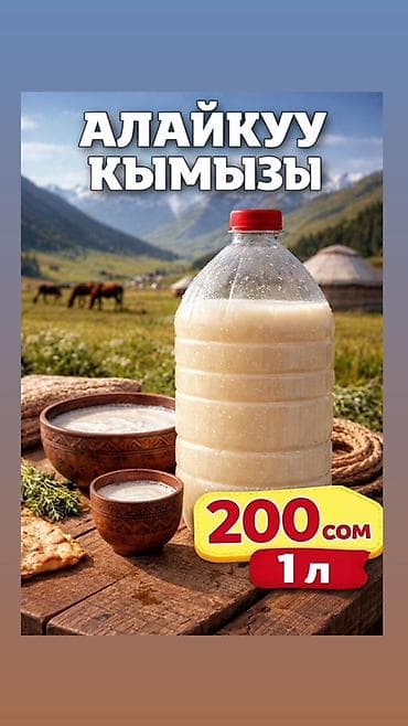 абс пластик: Алайкуу кымыз — натуральный освежающий напиток из кобыльего молока — 2