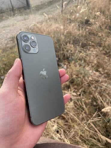 IPhone 12 Pro, Б/у, 128 ГБ, Чехол, 79 %