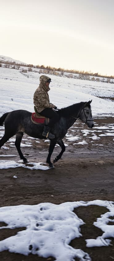 Жазга 1 асый Жоош оозу элпек урганы чуркашы жакшы. 😎