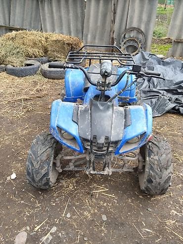 скутер водный: Квадроцикл Бензин, 110 куб. см, Детский — 4