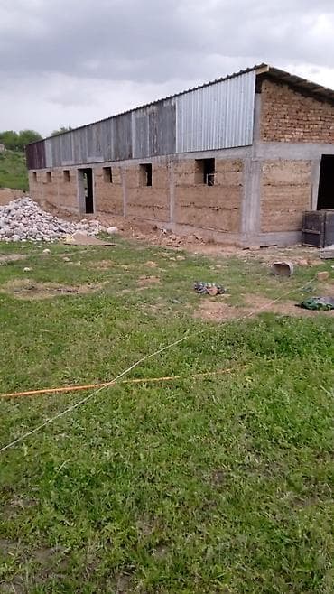 usman stroy: Сокмо дубалдан пакса жана кам кирпичтен уй жана малга — 8