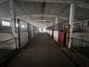 дом совхоз фрунзе: Сдаю Конюшню в перспективном районе для содержания лошадей и быков — 2