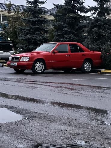 продаю или меняю на дом: Mercedes-Benz E-Class: 1995 г., 3.2 л, Механика, Бензиновая, Седан — 3